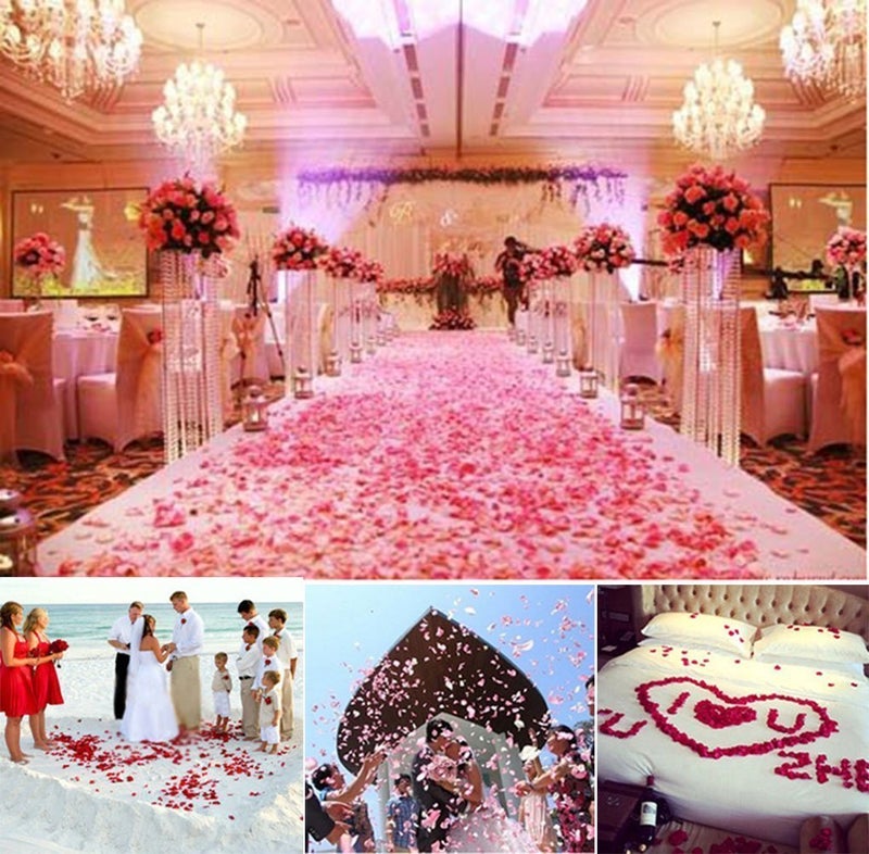 Neo LOONS 1000 Pcs Artificial Silk Rose Petals Decoration Wedding Party Color Silver - Image 5